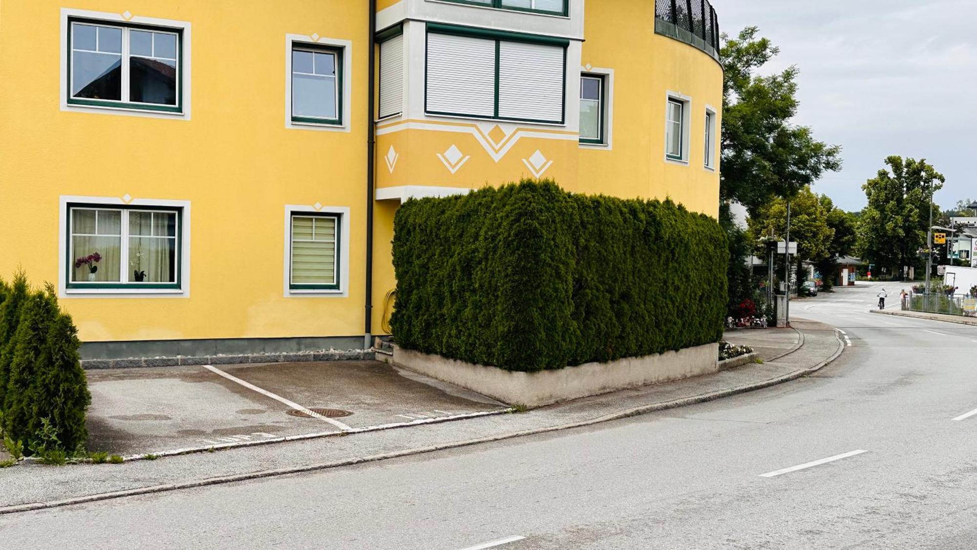 Naturparadies Salzburg-Land Seekirchen am Wallersee Dış mekan fotoğraf
